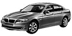 BMW F10 P207D Fault Code